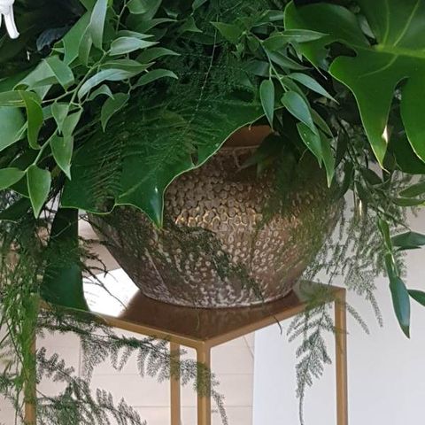 Zdjęcie przedstawiające: Donica stare złoto